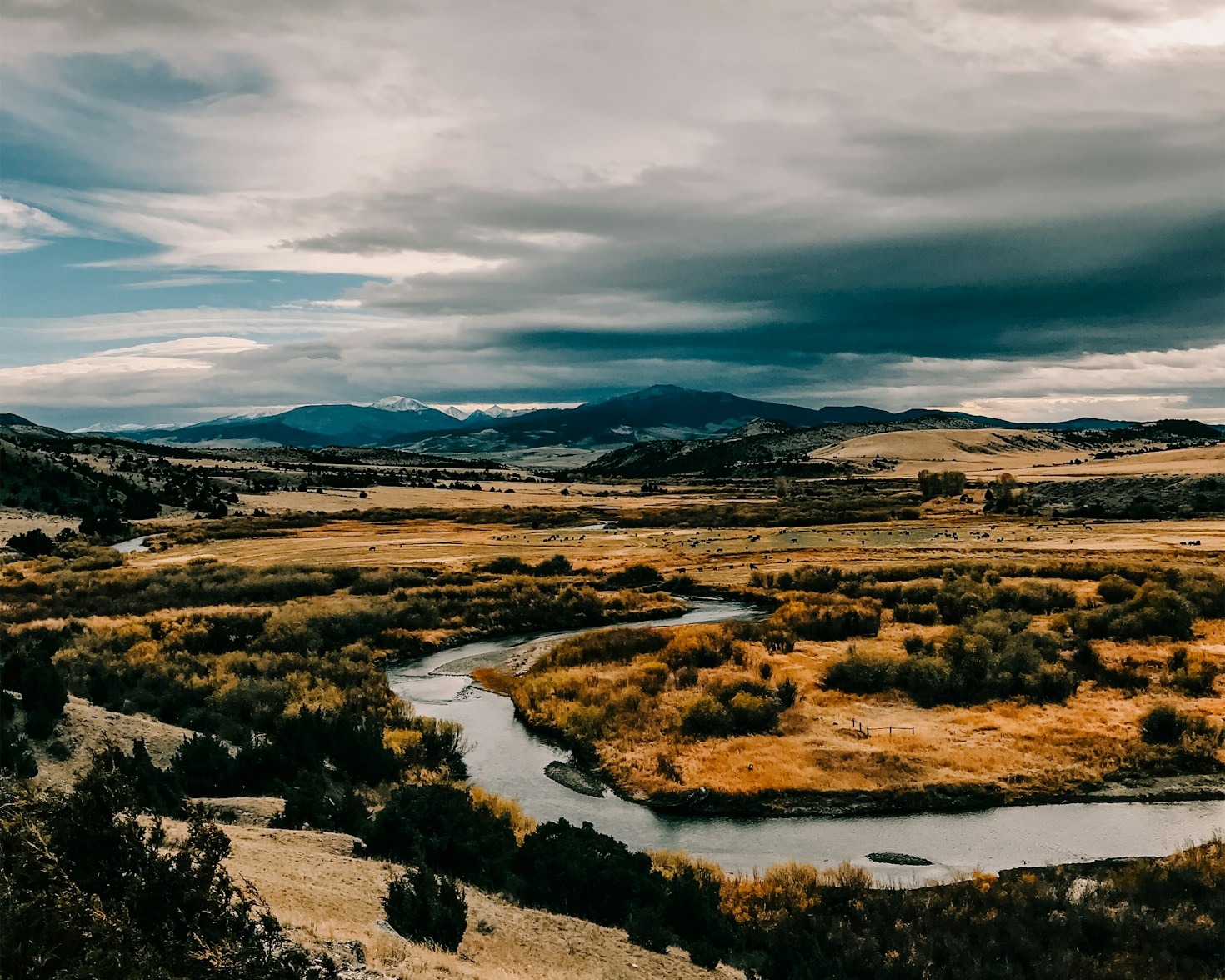 Community Action Plans For Forest Protection